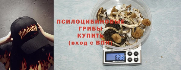 тгк Володарск