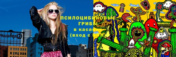 тгк Володарск