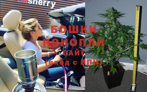 тгк Володарск