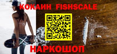 стафф Камышлов