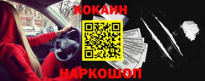 стафф Камышлов