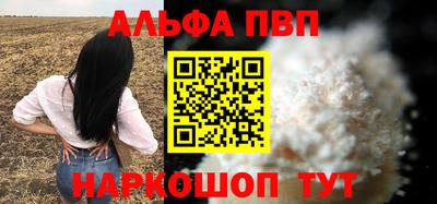 стафф Камышлов
