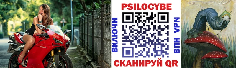 дарк нет телеграм  Малоярославец  Галлюциногенные грибы мицелий  где купить наркотик  KRAKEN ССЫЛКА 