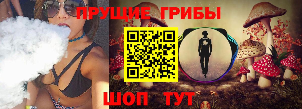 Галлюциногенные грибы Psilocybine cubensis Малоярославец