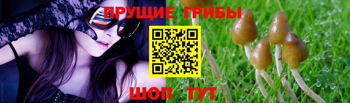 Псилоцибиновые грибы Magic Shrooms  Вход с VPN  Малоярославец 